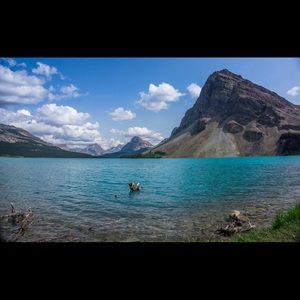 Meet your Posher, Kaylee